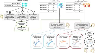 Radiomics-based aortic flow profile characterization with 4D phase-contrast MRI